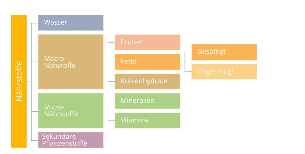 Eine Übersicht über alle Nährstoffe